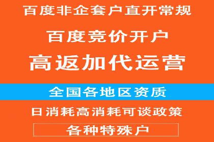某行业巨头背后的SEM代运营服务公司
